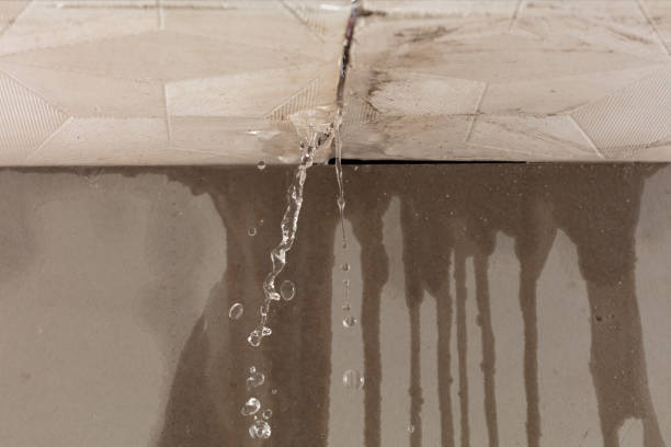 Professional Burst Pipe Cleanup technician working in Dallas, SD
